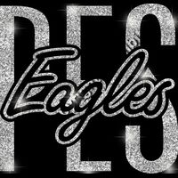 GLT95 SILVER GLITTER Thumbnail