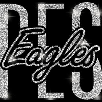 GLT95 SILVER GLITTER Thumbnail